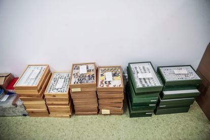 Collections of insects pending cataloging, in the warehouses of the National Museum of Natural Sciences.