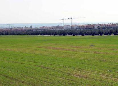 Terreno protegido en el que se planea construir parte de las 20.000 viviendas en Illescas.