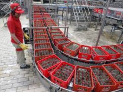 Un trabajador atiende una l&iacute;nea de embotellado en la f&aacute;brica de Coca-Cola en Fuenlabrada (Madrid).