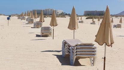 Decenas de hamacas vacías en las playas de Corralejo, en Fuerteventura.