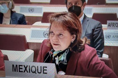Martha Delgado, representante de México en la ONU.
