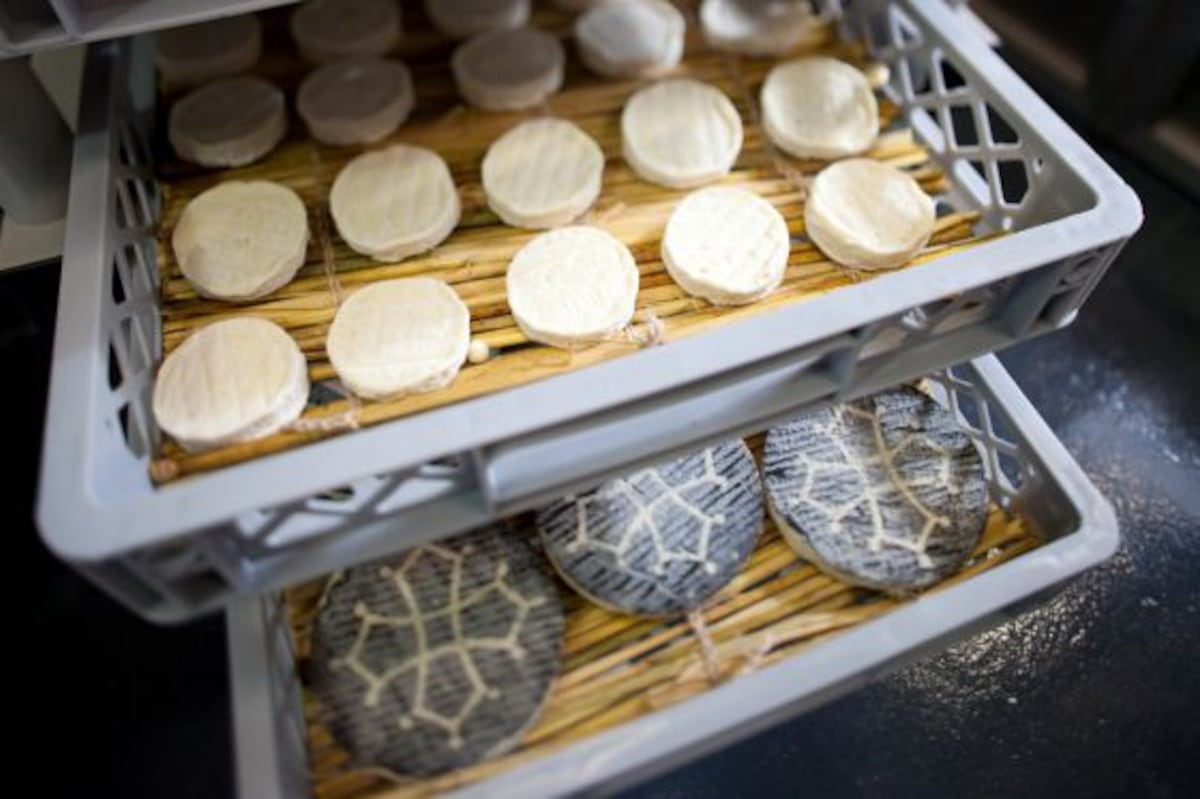 Cheese Bar en Barcelona Pasarela de quesos El Viajero EL PAÍS