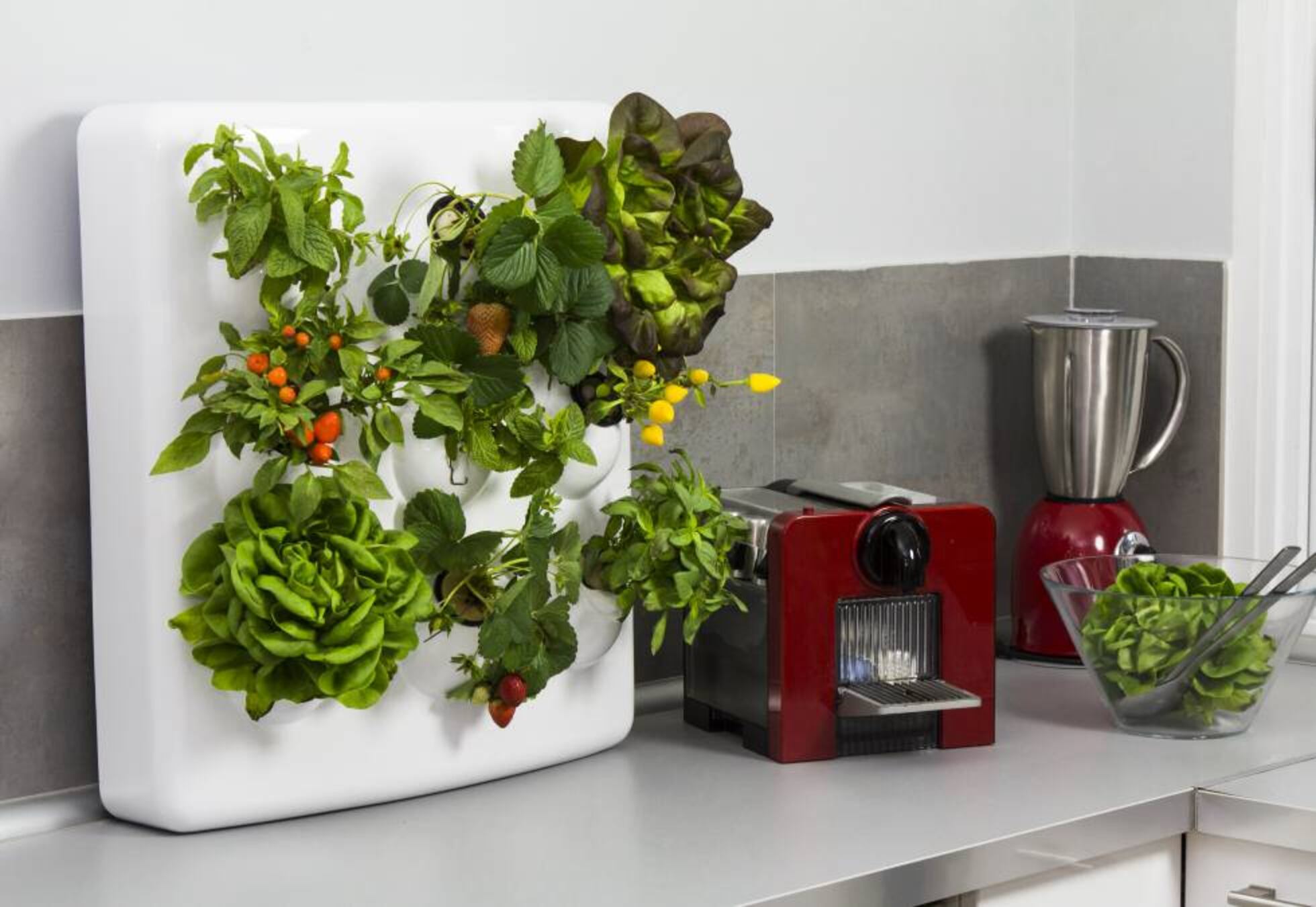 El jardín vertical para urbanitas que se controla desde el móvil