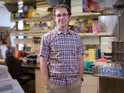 El bioquímico Jesse Bloom, del Centro de Investigación Fred Hutchinson, en Seattle (EE UU).