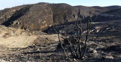 Parte de la Sierra de Gador en Almer&iacute;a afectada por el fuego.