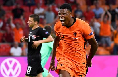 Dumfries festeja su gol frente a Austria.