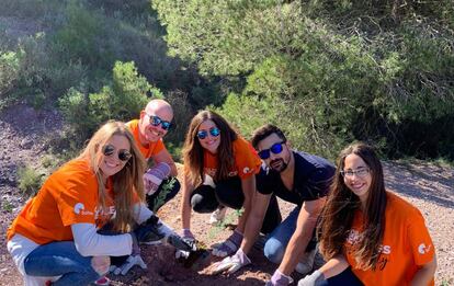 Voluntarios de Soltec del proyecto de reforestación.