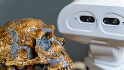 Molde de un cráneo de Neandertal y el robot 'Tiago', ideado por el coordinador científico de METATOOL con la tecnología de PAL Robotics (Barcelona), en la Universidad Técnica de Delf.