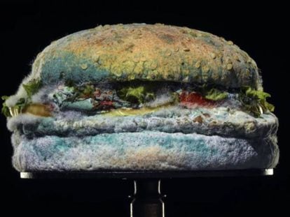 La hamburguesa con moho de Burger King.