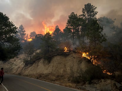 Vista del incendio que afecta el Estado de Nuevo León, en el norte de México.