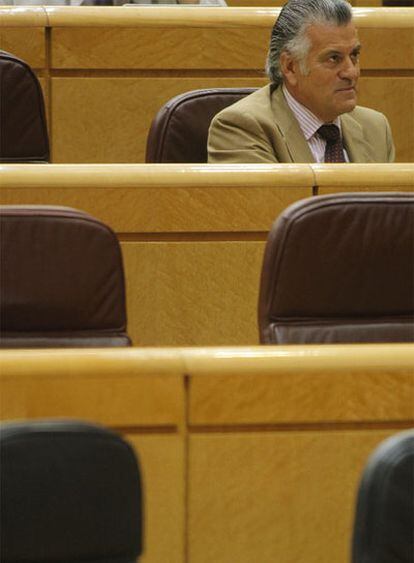 El senador del PP Luis Bárcenas, en la Cámara alta.