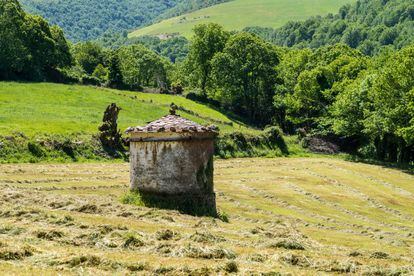Un prado en los alrededores de Triacastela (Lugo), cerca de donde se encuentran las pinturas rupestres de Cova Eirós.  