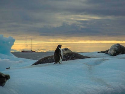 Imagen del documental 'Sea Gypsies: The Far Side of the World', que se proyecta dentro del festival.