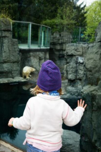 Una niña mira un oso polar en el Zoo de Nueva York.