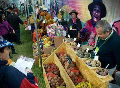 Un puesto expone diversas variedades de papa en la feria Mistura celebrada en Lima la pasada semana.