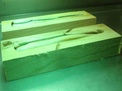 Cajas de madera de cerezo dentro de un horno de rayos UVA, en las que se cocinan los lomos de trucha introducidos en su interior. 
