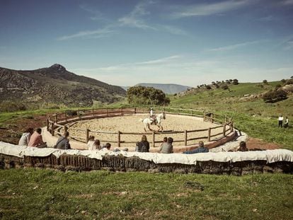 El picadero de la finca La Donaira ofrece un espectáculo de rejoneo con caballos lusitanos.