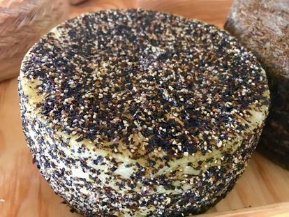 Curado de cabra a la pimienta. Queso de leche pasteurizada de cabra, coagulación enzimatica, corteza natural de pimienta negra con 40 días de maduración. Quesos La Hortelana. Coín (Málaga)