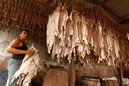 Un taller de curtición de pieles en Bangladesh