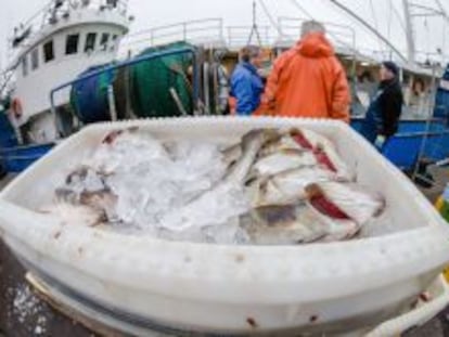 Los países que más se pasarán en 2015 con la sobrepesca