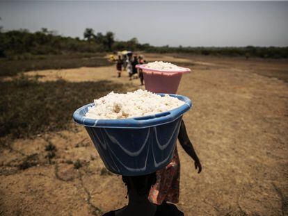 Una de sal y otra de arena para las mujeres de Guinea-Bisáu