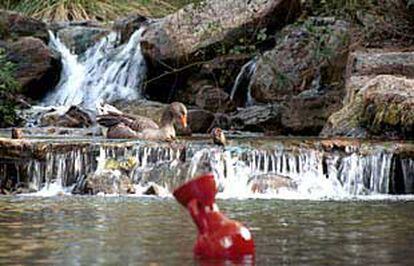 Arroyo de Celín.