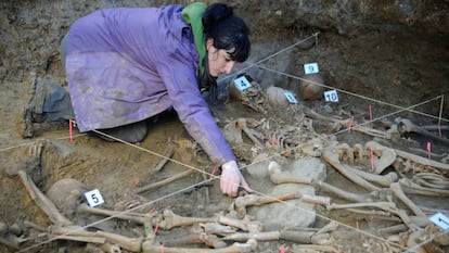 Trabajos de exhumación de restos de una fosa de la Guerra Civil en Zigoitia (Álava).
