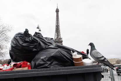 Una paloma aterrizó sobre un contenedor de basura desbordado, en París, este lunes.