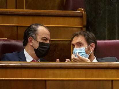 Los dos representantes de UPN, Sergio Sayas y Carlos García Adanero, en el Congreso de los Diputados el pasado día 3.