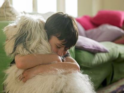 Tener una mascota “es algo muy educativo porque, como se tienen que encargar de su cuidado, alimentación, limpieza, etc., los niños aprenden a tener pequeñas responsabilidades”, explica García de Ribera.