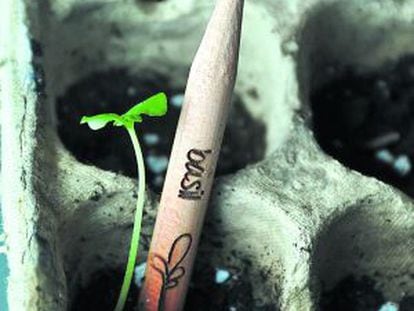 Lápiz, de la empresa Sprout, con semillas en su interior, que se planta una vez usado.