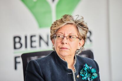 Concepción Baracaldo durante una reunión de trabajo.