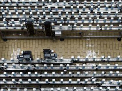 Vista de una fábrica de Leche Pascual, la cadena de producción de envasado.