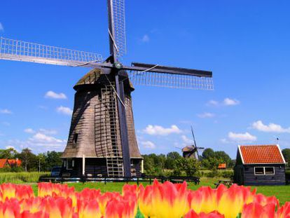 Holanda: el gran beneficiado de la globalización