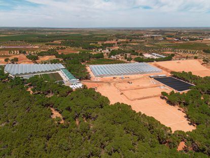 Instalaciones de Agroptimum, que se extienden por casi 70.000 metros cuadrados, en Villanueva de la Jara (Cuenca)