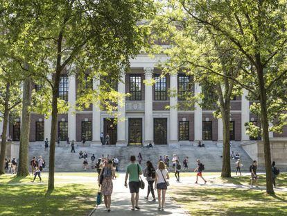 Estudiantes y turistas pasean por el campus de la Universidad de Harvard.