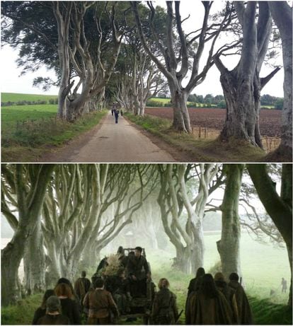 Dark Hedges, en la serie.