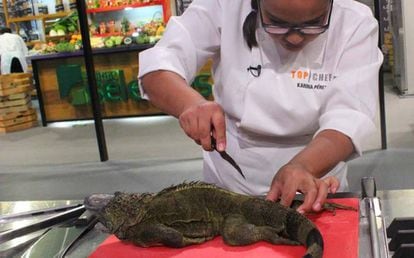 Una participante de Top Chef se dispone a cocinar una iguana el domingo.