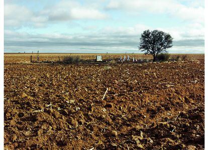 Un cementerio familiar junto a las plantaciones de maíz de las afueras de Kroonstad, Sudáfrica.