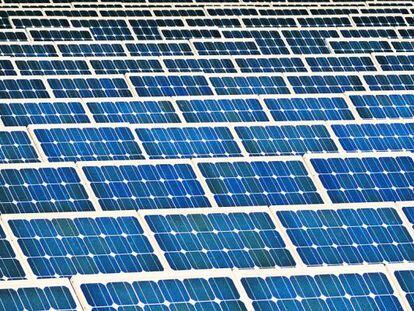 Paneles solares en una planta fotovoltaica.