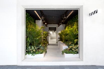 Stanescu y Dong- Ping Wong decidieron dedicar un tercio de la tienda de Off White de Hong Kong a hacer un jardín.