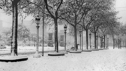 El paseo de Gracia, con la plaza de Cataluña al fondo, bajo la gran nevada caída en Barcelona en 1962.