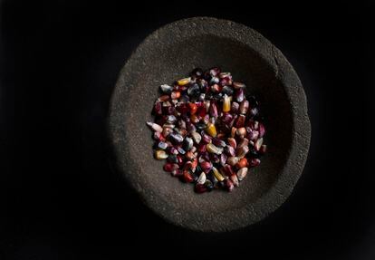 Stone molcajete with corn grains.  Molcajete, a Nahuatl term, is a mortar used to prepare sauces.