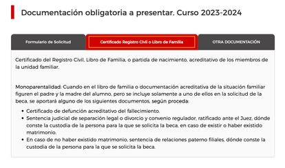 Pantallazo de la página web de la Comunidad de Madrid donde se indica qué deben presentar las familias monoparentales.