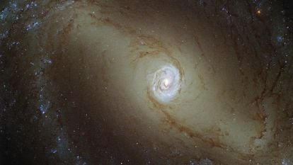 La galaxia Seyfert, muy activa y del tipo espiral a unos 32 millones de años luz de la Tierra, captada por el telescopio espacial Hubble de la NASA/ESA.