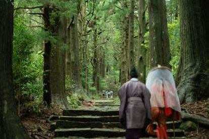Peregrinos caminando en un bosque de Kumano Kodo, en Wakayama, Japón.