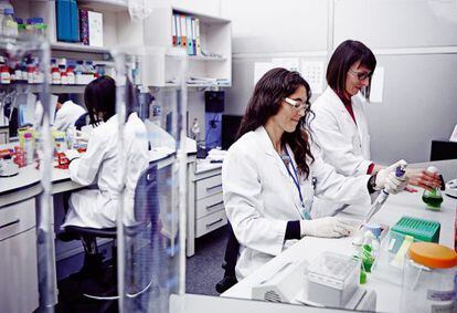 Instalaciones de Biópolis, empresa de biotecnología pionera en el uso del gusano 'Elegans' para la investigación de males como la diabetes, el alzhéimer o el envejecimiento.