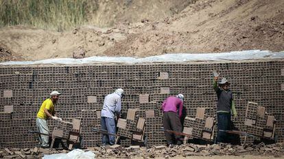 Refugiados afganos trabajan en una obra en Irán.