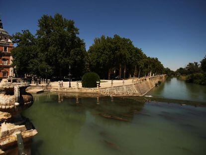 El parque de la Isla en Aranjuez.