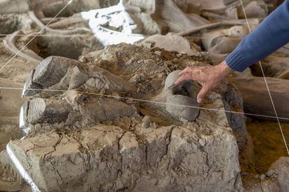 El arqueólogo Luis Córdoba enseña los restos óseos en la excavación.